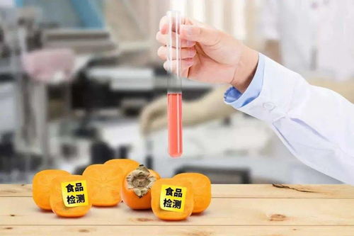 江蘇食品安全專項抽檢結果公布 合格率高達99.38%，藥品零售領域同步加強監管