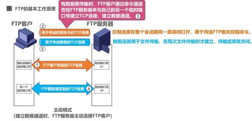 計算機網(wǎng)絡(luò)應(yīng)用層 域名系統(tǒng)DNS、文件傳送協(xié)議FTP與計算機系統(tǒng)服務(wù)