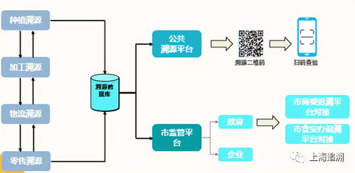 強豐社區(qū)智慧微菜場 食品安全全程追溯系統(tǒng)的創(chuàng)新與應(yīng)用